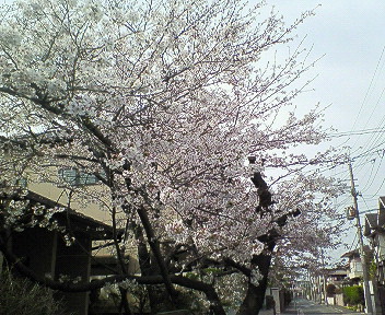 さくら塚口民家.jpg