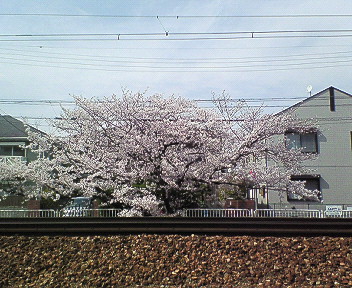 さくら武庫之荘駅前.jpg
