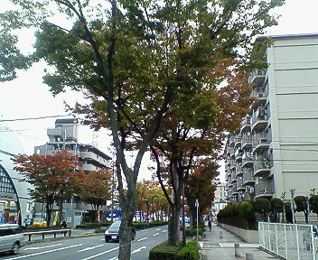 武庫之荘紅葉山手幹線2.jpg