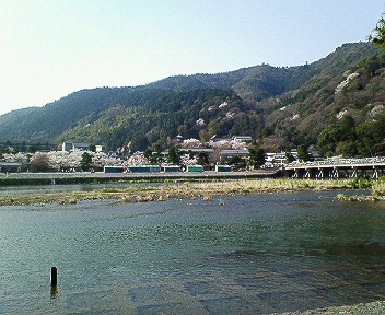 嵐山朝の渡月橋.jpg