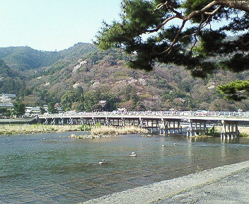 嵐山朝の渡月橋2.jpg