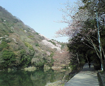 嵐山遊歩道.jpg