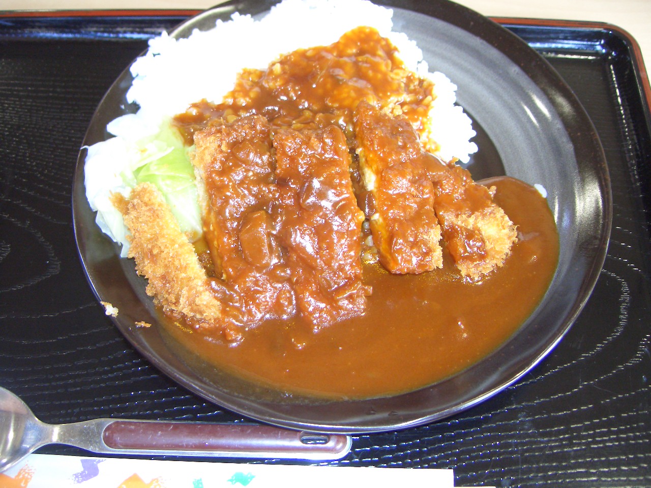 2009.2.14姫路城 010.jpg