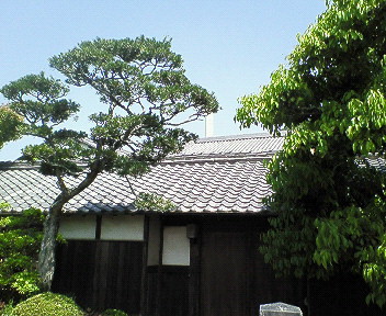 福錦 全景.jpg